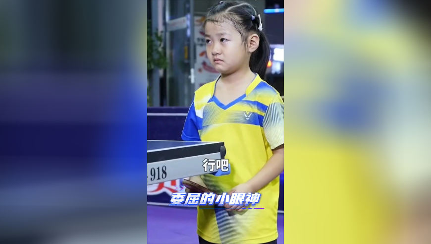 演员请就位3谁能忍住不笑,246天天天彩天好彩 246cn,经济性执行方案剖析_入门版V7.12