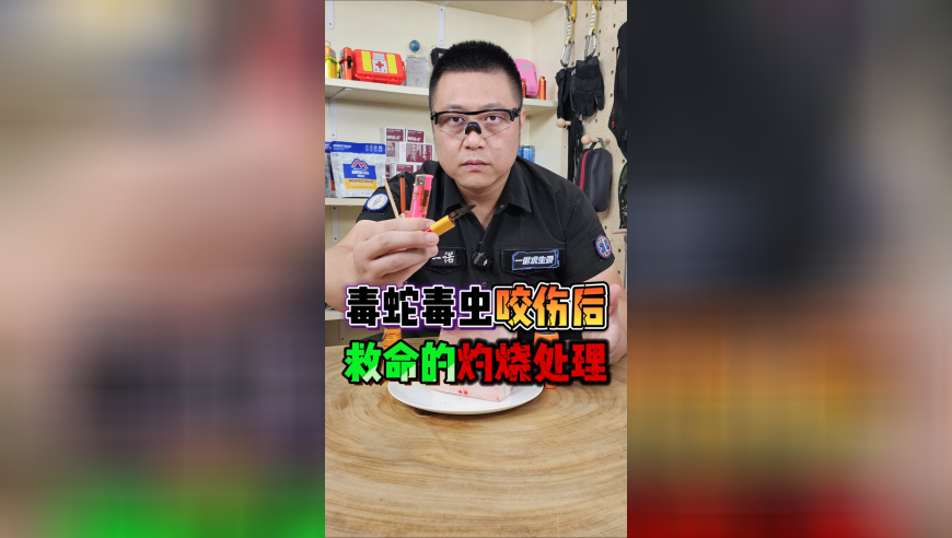 姚笛复出,2025澳门今晚开奖结果历史查询319期,经典解释落实_高级版V1.65