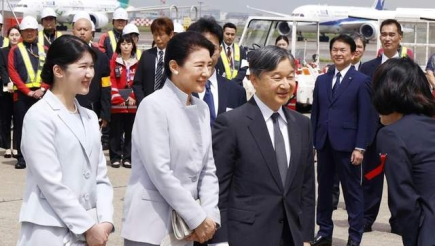 雷军：建议优化新能源汽车号牌设计,王中王管家婆精选二码,创造力策略实施推广_专家版V14.60